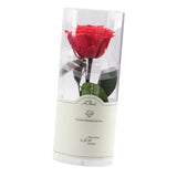Maxbell Everlating Rose Flower Charms DIY Permanent Rose Flower Style03