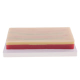 Maxbell Suturing Practice Kit 3 Layers Skin Fat Muscle Suture Pad Human Skin Training Model School Teaching Tool