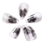 Maxbell Pipa Nails Pianist for Musical String Instruments for Professionals Learning Brown M