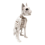 Maxbell Sitting Cat Skeleton Halloween Decoration Versatile Creepy White PP Material
