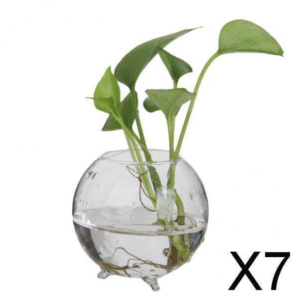 Maxbell 7xGlass Hydroponic Pot Flowers Vase Fairy Garden DIY Terrarium