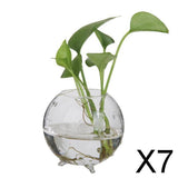 Maxbell 7xGlass Hydroponic Pot Flowers Vase Fairy Garden DIY Terrarium