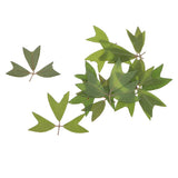 10 Pieces 1 - 2 cm / 0.39 - 0.79 inch" Real Pressed Natural Dried Flowers Embellishments for Card making Scrapbooking DIY Arts Crafts Kummerowia striata Leaves - Aladdin Shoppers