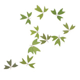 10 Pieces 1 - 2 cm / 0.39 - 0.79 inch" Real Pressed Natural Dried Flowers Embellishments for Card making Scrapbooking DIY Arts Crafts Kummerowia striata Leaves - Aladdin Shoppers