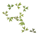 10 Pieces 1 - 2 cm / 0.39 - 0.79 inch" Real Pressed Natural Dried Flowers Embellishments for Card making Scrapbooking DIY Arts Crafts Kummerowia striata Leaves - Aladdin Shoppers