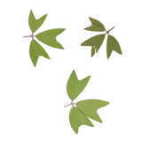 10 Pieces 1 - 2 cm / 0.39 - 0.79 inch" Real Pressed Natural Dried Flowers Embellishments for Card making Scrapbooking DIY Arts Crafts Kummerowia striata Leaves - Aladdin Shoppers