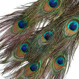 Maxbell 10 Pcs Peacock Eye Tail Feathers for Craft Mask Hat 9-13 Inch