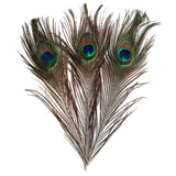 Maxbell 10 Pcs Peacock Eye Tail Feathers for Craft Mask Hat 9-13 Inch