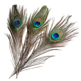 Maxbell 10 Pcs Peacock Eye Tail Feathers for Craft Mask Hat 9-13 Inch