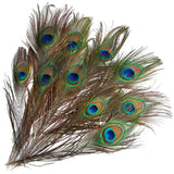 Maxbell 10 Pcs Peacock Eye Tail Feathers for Craft Mask Hat 9-13 Inch