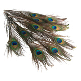 Maxbell 10 Pcs Peacock Eye Tail Feathers for Craft Mask Hat 9-13 Inch