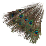 Maxbell 10 Pcs Peacock Eye Tail Feathers for Craft Mask Hat 9-13 Inch