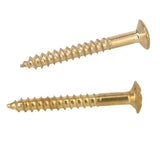 Maxbell 2 x Gilded Strap Lock for Electric Acoustic Guitar Bass