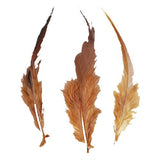 Maxbell 20pcs Dyed Rooster Cock Coque Saddle Feather 3-5 Inch - Coffee