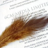 Maxbell 20pcs Dyed Rooster Cock Coque Saddle Feather 3-5 Inch - Coffee