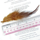 Maxbell 20pcs Dyed Rooster Cock Coque Saddle Feather 3-5 Inch - Coffee