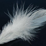 Maxbell Dyed Rooster Cock Coque Saddle Feather 3-4 Inch - White