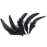 Maxbell 50Pcs Dyed Rooster Feather Handcrafts Making Supplies Cock Feather- Black