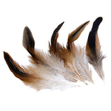 Maxbell 50 Pcs Rooster Cock Feather for Hat and Headgear Decor DIY Craft Natural