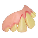 Maxbell 5Pcs Funny Gift Costume Party Ugly Gag Fake Teeth