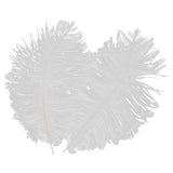 Maxbell 10pcs White Ostrich Feathers 6.7-9 Inch