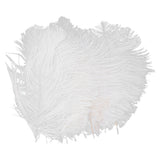 Maxbell 10pcs White Ostrich Feathers 6.7-9 Inch