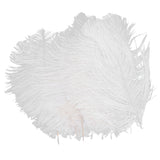 Maxbell 10pcs White Ostrich Feathers 6.7-9 Inch