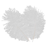 Maxbell 10pcs White Ostrich Feathers 6.7-9 Inch