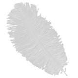 Maxbell 10pcs White Ostrich Feathers 6.7-9 Inch
