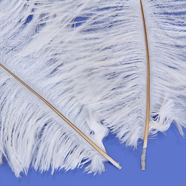 Maxbell 10pcs White Ostrich Feathers 6.7-9 Inch