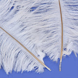 Maxbell 10pcs White Ostrich Feathers 6.7-9 Inch