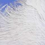 Maxbell 10pcs White Ostrich Feathers 6.7-9 Inch