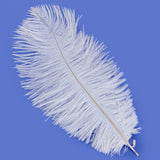 Maxbell 10pcs White Ostrich Feathers 6.7-9 Inch