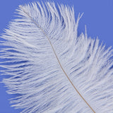 Maxbell 10pcs White Ostrich Feathers 6.7-9 Inch
