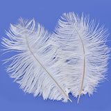 Maxbell 10pcs White Ostrich Feathers 6.7-9 Inch