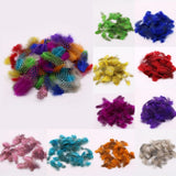 Maxbell 50pcs Mixed Color Guinea Hen Feathers DIY Accessories Spots Feather