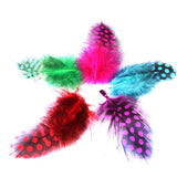 Maxbell 50pcs Mixed Color Guinea Hen Feathers DIY Accessories Spots Feather
