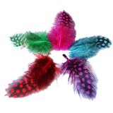 Maxbell 50pcs Mixed Color Guinea Hen Feathers DIY Accessories Spots Feather