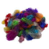 Maxbell 50pcs Mixed Color Guinea Hen Feathers DIY Accessories Spots Feather