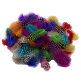 Maxbell 50pcs Mixed Color Guinea Hen Feathers DIY Accessories Spots Feather