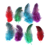 Maxbell 50pcs Mixed Color Guinea Hen Feathers DIY Accessories Spots Feather