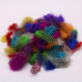 Maxbell 50pcs Mixed Color Guinea Hen Feathers DIY Accessories Spots Feather