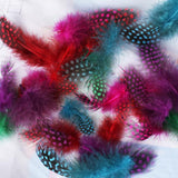 Maxbell 50pcs Mixed Color Guinea Hen Feathers DIY Accessories Spots Feather