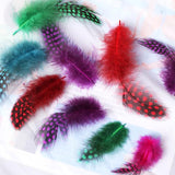 Maxbell 50pcs Mixed Color Guinea Hen Feathers DIY Accessories Spots Feather