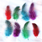 Maxbell 50pcs Mixed Color Guinea Hen Feathers DIY Accessories Spots Feather
