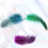 Maxbell 50pcs Mixed Color Guinea Hen Feathers DIY Accessories Spots Feather