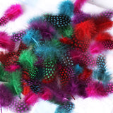 Maxbell 50pcs Mixed Color Guinea Hen Feathers DIY Accessories Spots Feather