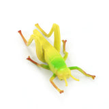 Maxbell Plastic PVC Insect Animal Model Kids Toy 12pcs Multi-color