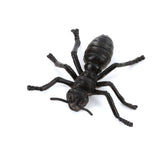 Maxbell Plastic PVC Insect Animal Model Kids Toy 12pcs Multi-color