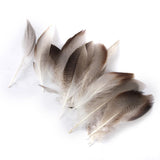 Maxbell WHOLESALE 9-13cm Duck Feathers for PARTY MASK MAKING 20PCS